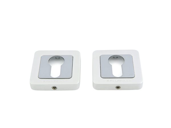 Aluminum alloy cylinder escutcheon with mounting screws and hex key