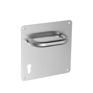 Stainless Steel Lever Handle on Backplate for Mortise Locks