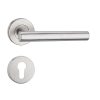 Stainless Steel Lever Handle on Rose with Euro Profile Escutcheon