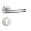 Stainless Steel Lever Handle on Rose with Euro Profile Escutcheon